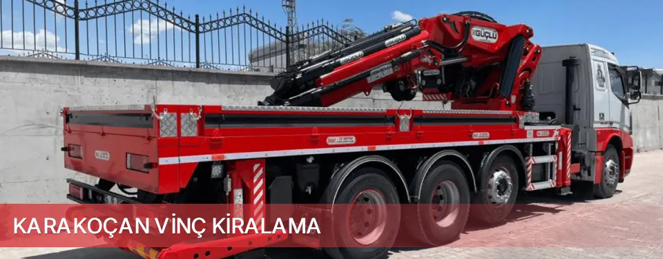 Karakoçan İlçemi Vinç Kiralama